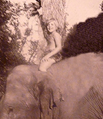 Michael Shanto Riding an Elephant