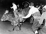 Johnny Crawford | 1962 | Bull Riding in Ft. Worth, Texas