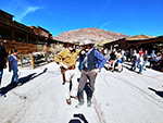 The Reel Cowboys at Calico Ghost Town on February 20th, 2022